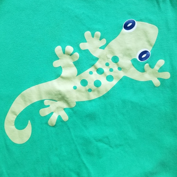 2009 vguc Hanna Andersson size 90 3T green lizard romper - Picture 10 of 12